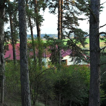 Rasarit De Soare Hotel Rotbav Buitenkant foto